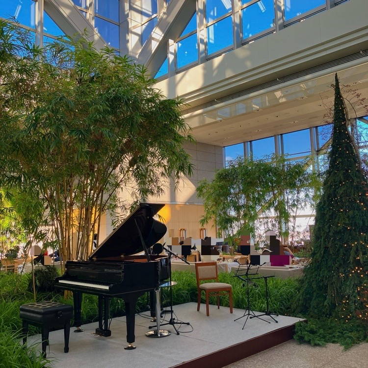 ピアノとクリスマスツリー