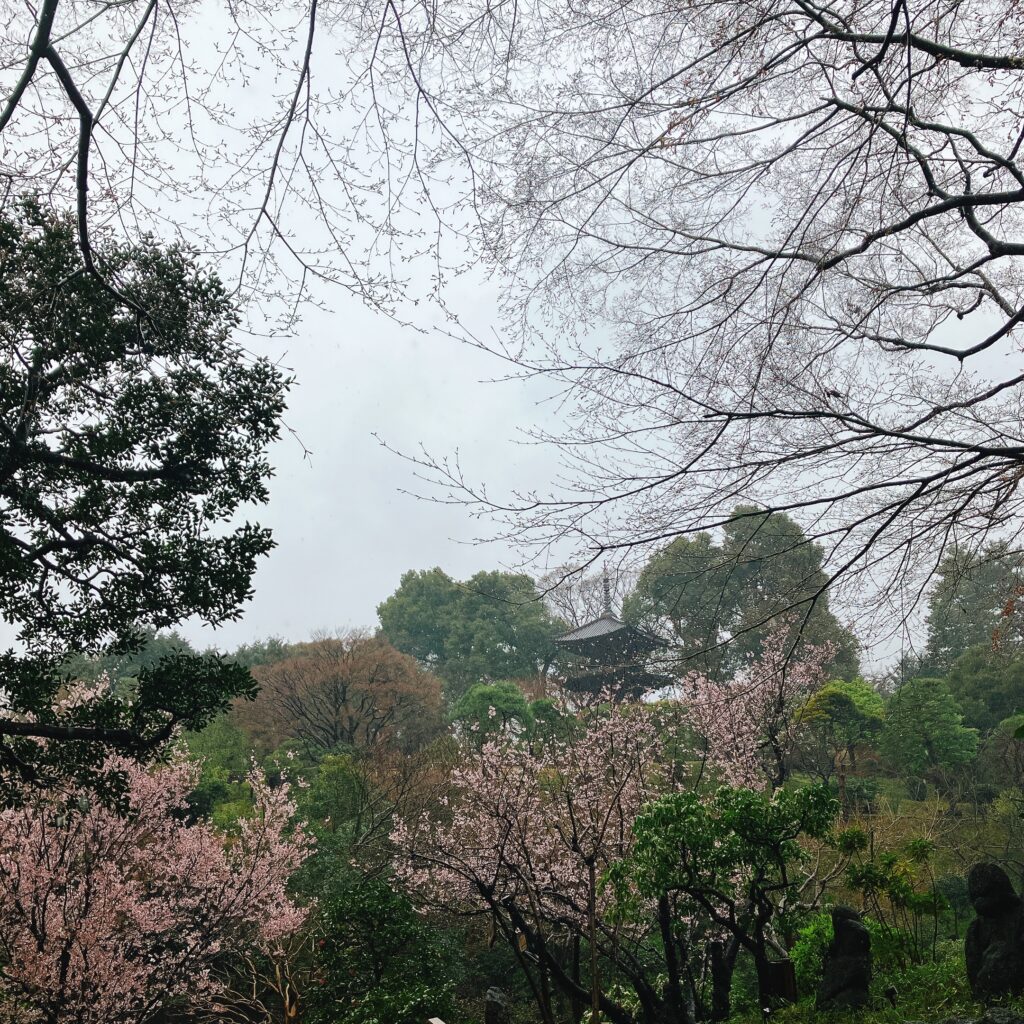 椿山荘の日本庭園