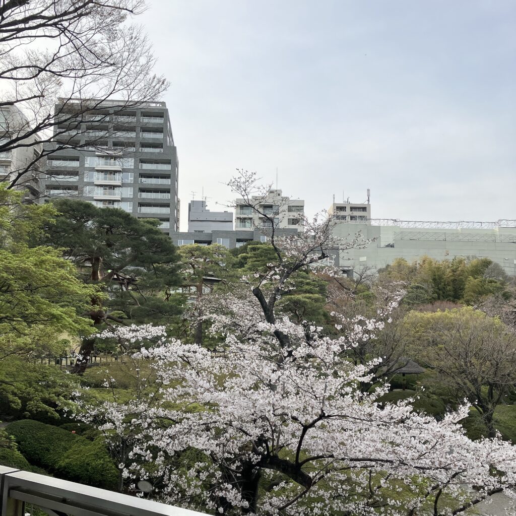 八芳園スラッシュカフェ　店内の様子