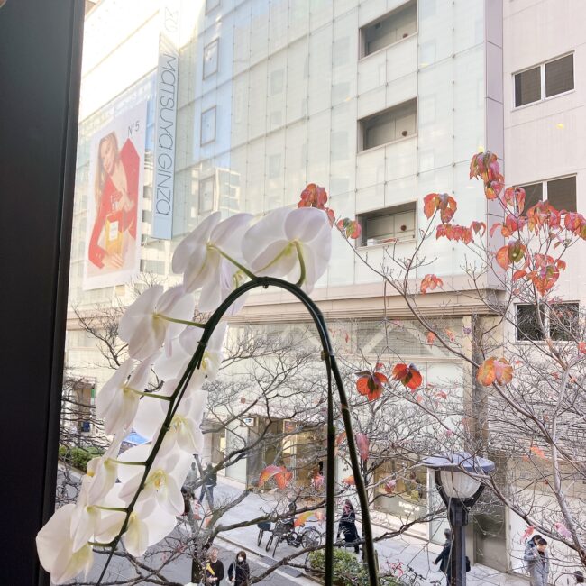 マリアージュフレール銀座松屋通り店　の窓から見える松屋銀座