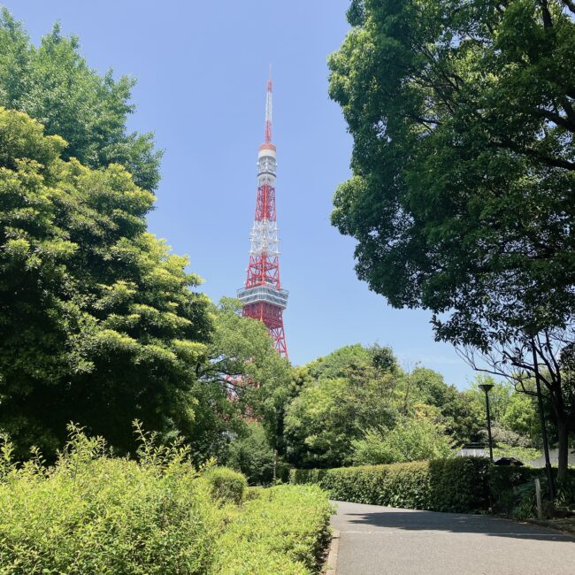 青空のもと、緑豊かな芝公園の木々の間から、そびえ立つ東京タワーがくっきりと見える。公園の小道が写真手前から奥へと伸びている。