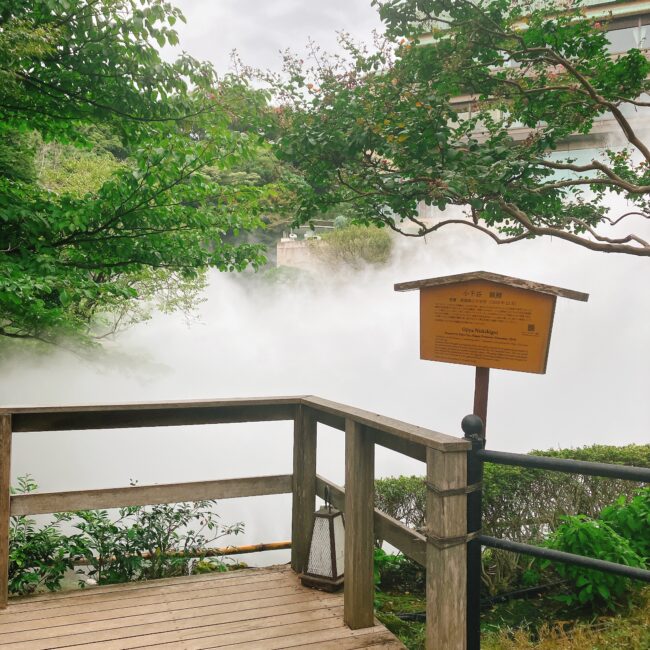 ホテル椿山荘東京の日本庭園内にある幽翠池で発生している「東京雲海」。木製の展望デッキから見下ろすと、池一面が白い霧（ドライアイス）で覆われ、その向こうには緑豊かな木々と遠くの建物が見える。右側には「小戸谷 幽翠池」と書かれた説明板が立っている。