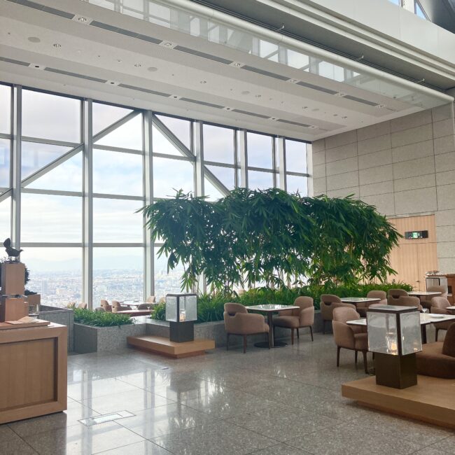 2025年、最新の景色。モダンに生まれ変わった椅子に身を委ねると、空との距離がさらに縮まったように感じます。」