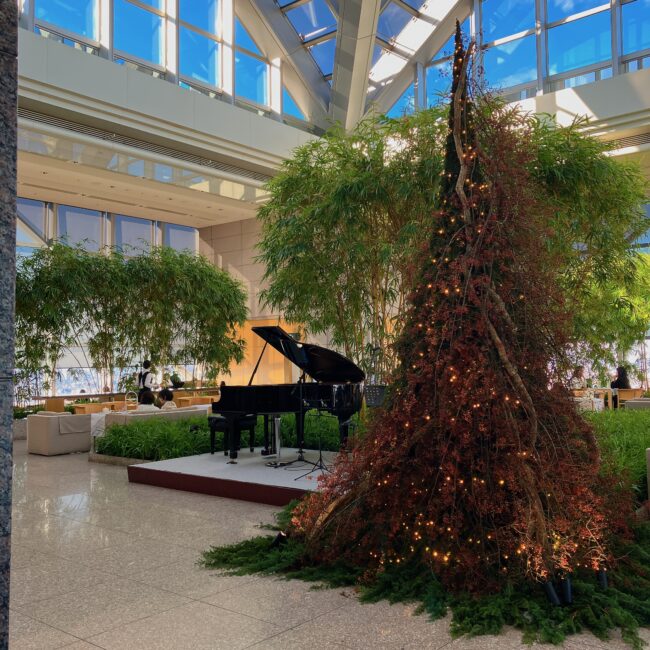 「2023年、改修前の記憶。この温かなシンボルツリーも大好きでした。」