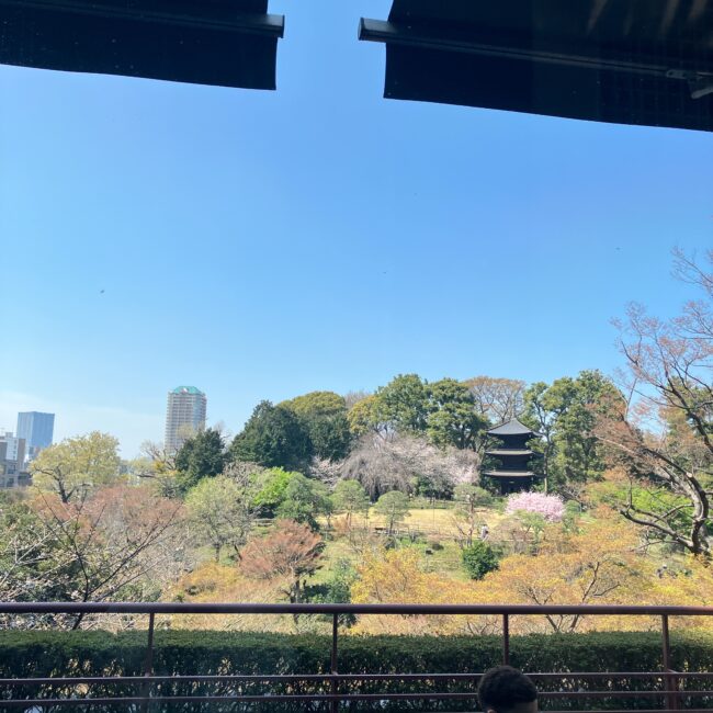 ル・ジャルダンの窓からの絶景。青空の下、広大な庭園の緑、歴史ある三重塔、そしてふんわりと色づき始めた桜の木が見える。