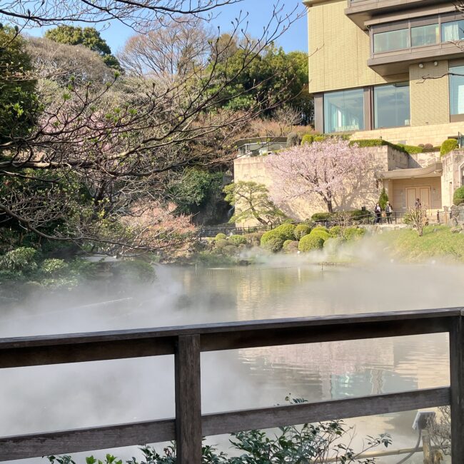 椿山荘の庭園の池を覆う白い「東京雲海」と、その奥で綺麗に咲き始めているピンク色の桜、そしてホテル棟を収めた風景写真。背景はバンケット棟。